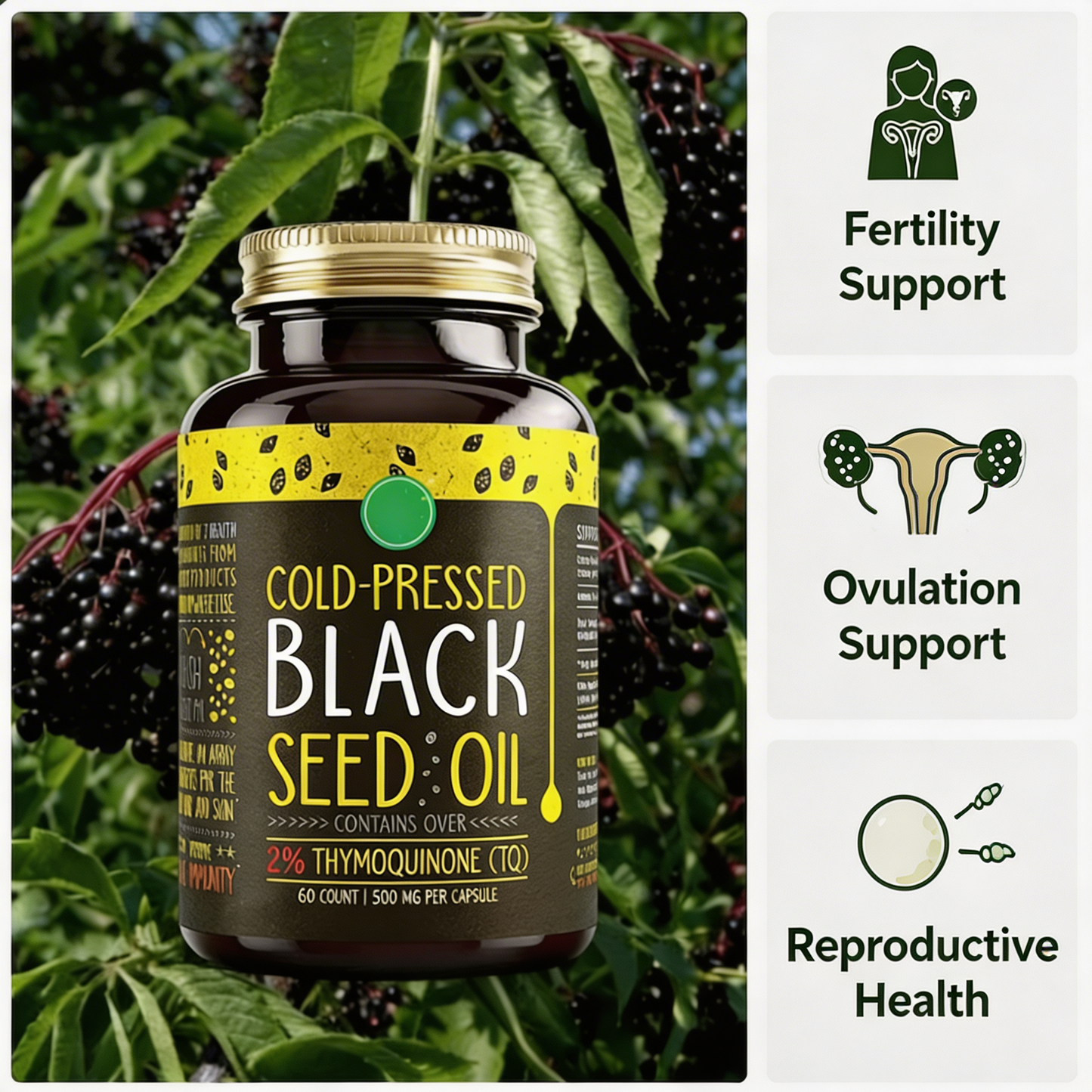 Black Seed Oil Infertility Formula
