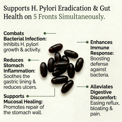 Black Seed Oil H Pylori