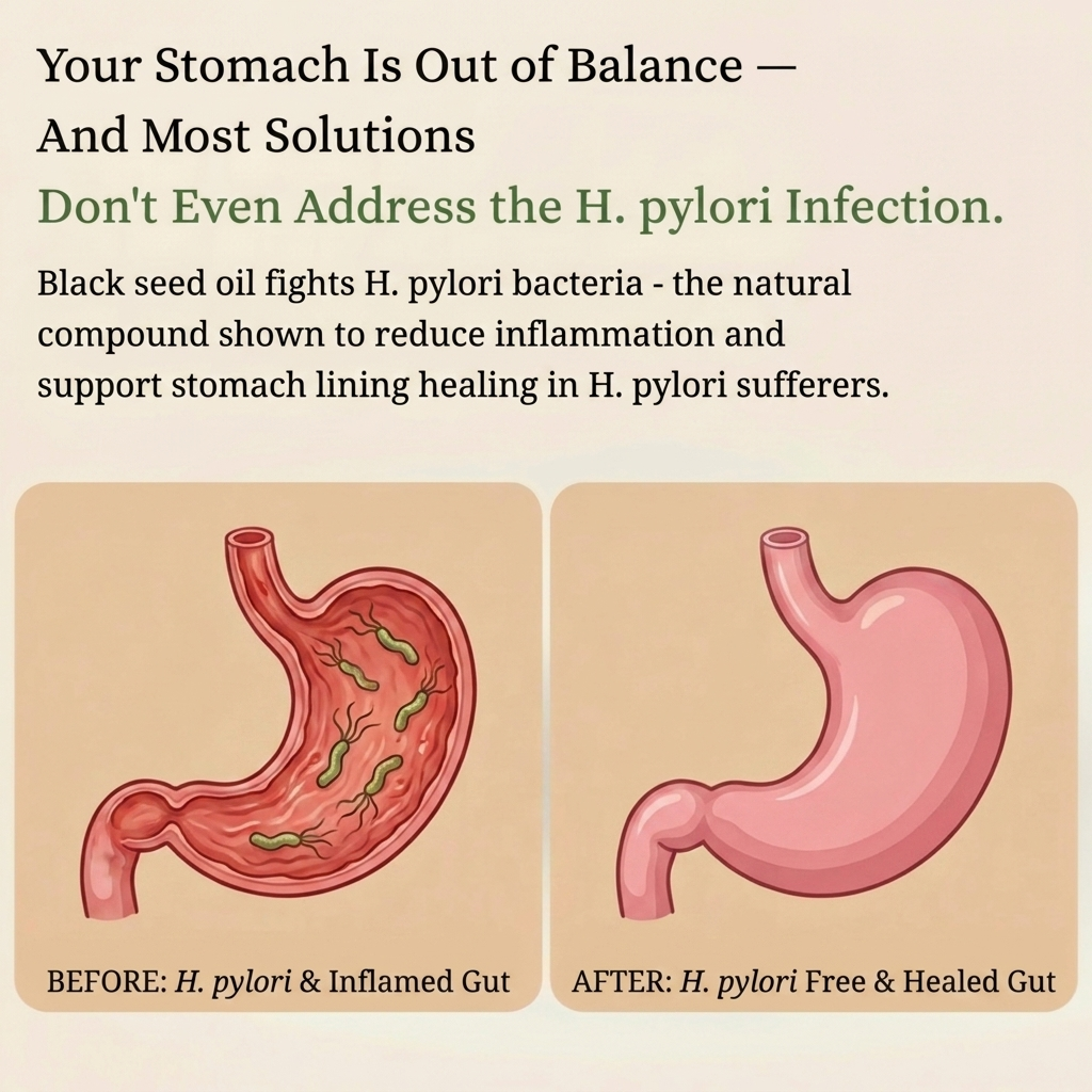 Black Seed Oil H Pylori