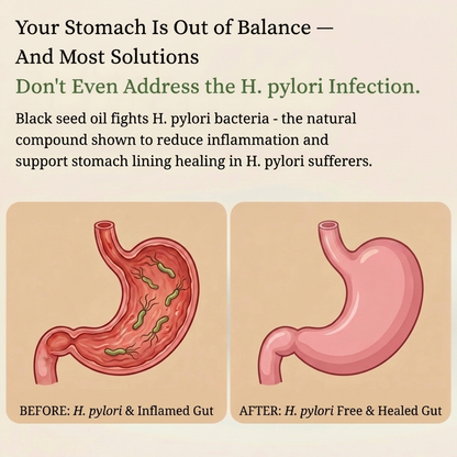 Black Seed Oil H Pylori