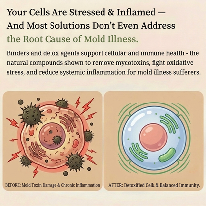 Nac Mold Illness