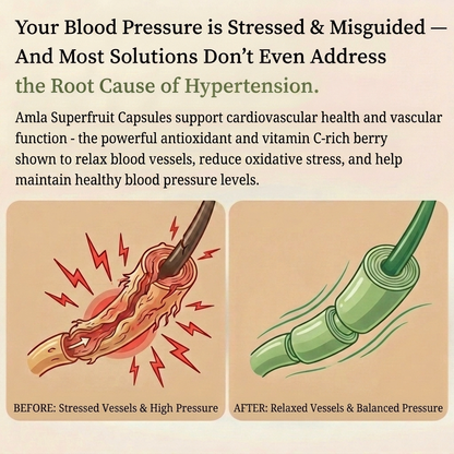 Amla Capsules - Blood Pressure