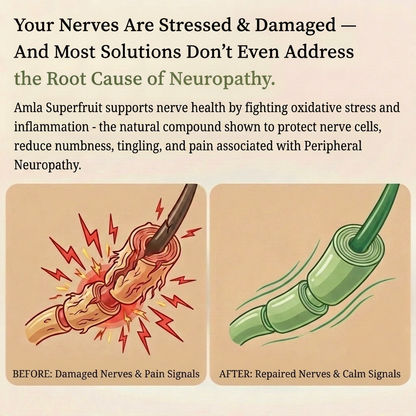 Amla Capsules - Peripheral Neuropathy
