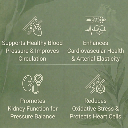 Amla Capsules - Blood Pressure