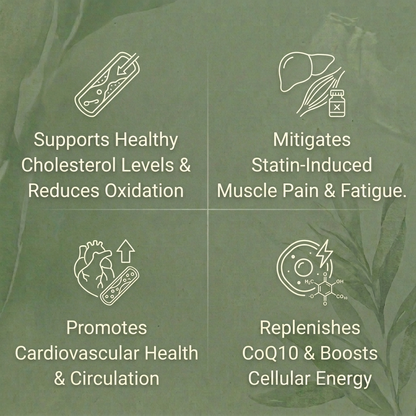 Amla Capsules - Cholesterol / Statin Damage