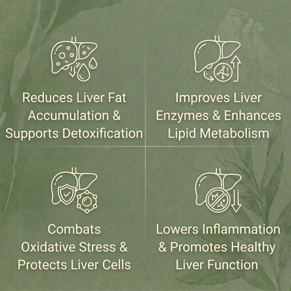 Amla Capsules - Fatty Liver