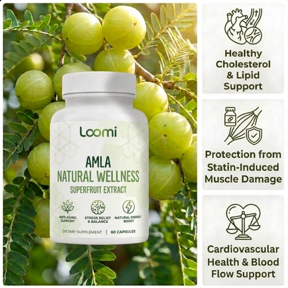 Amla Capsules - Cholesterol / Statin Damage